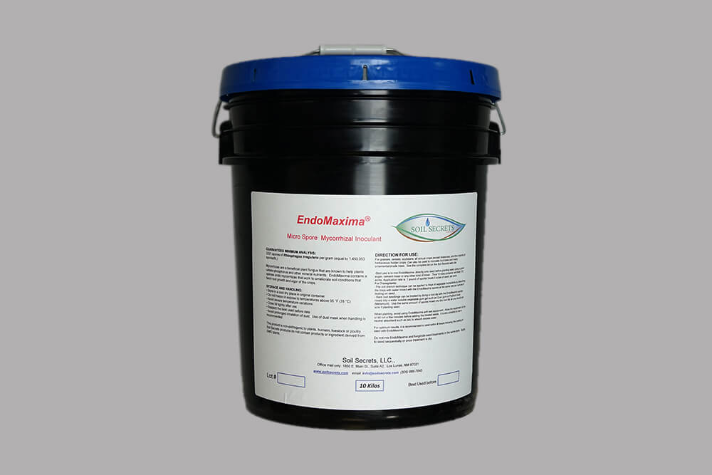 EndoMaxima (Standard)