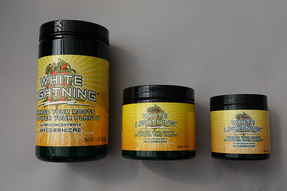 Green Thumb Victory Garden Kit –